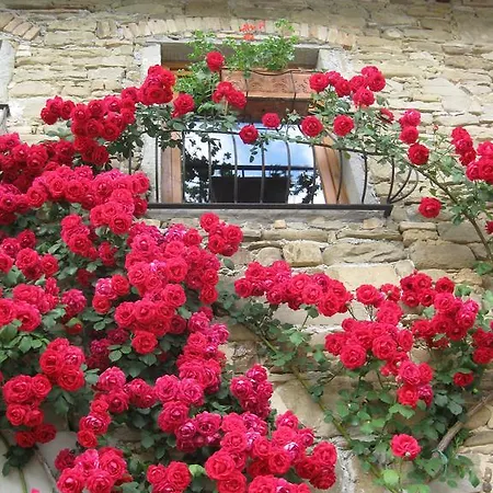Farm stay Agriturismo Sanvitale *