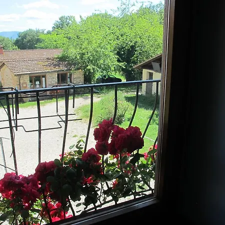 Farm stay Agriturismo Sanvitale Borgo San Lorenzo