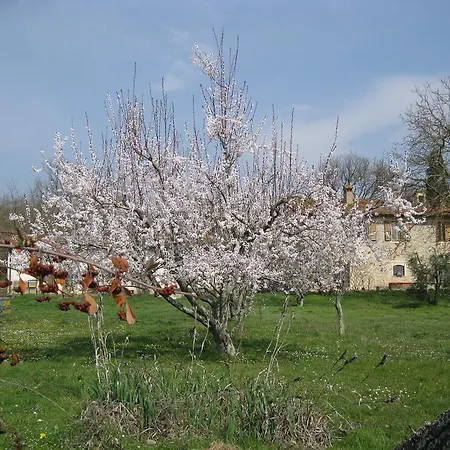 Alloggio per agriturismo Agriturismo Sanvitale Borgo San Lorenzo