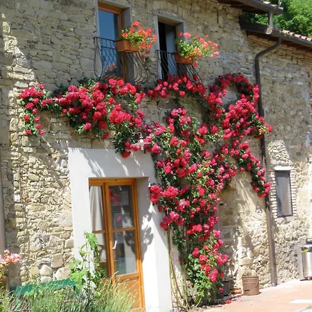 Agriturismo Sanvitale