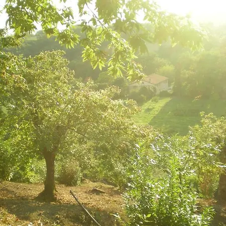 Alloggio per agriturismo Agriturismo Sanvitale Borgo San Lorenzo